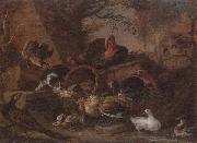 unknow artist Still life of fowl in a farmyard,with a cat stealing a bantam chick oil
